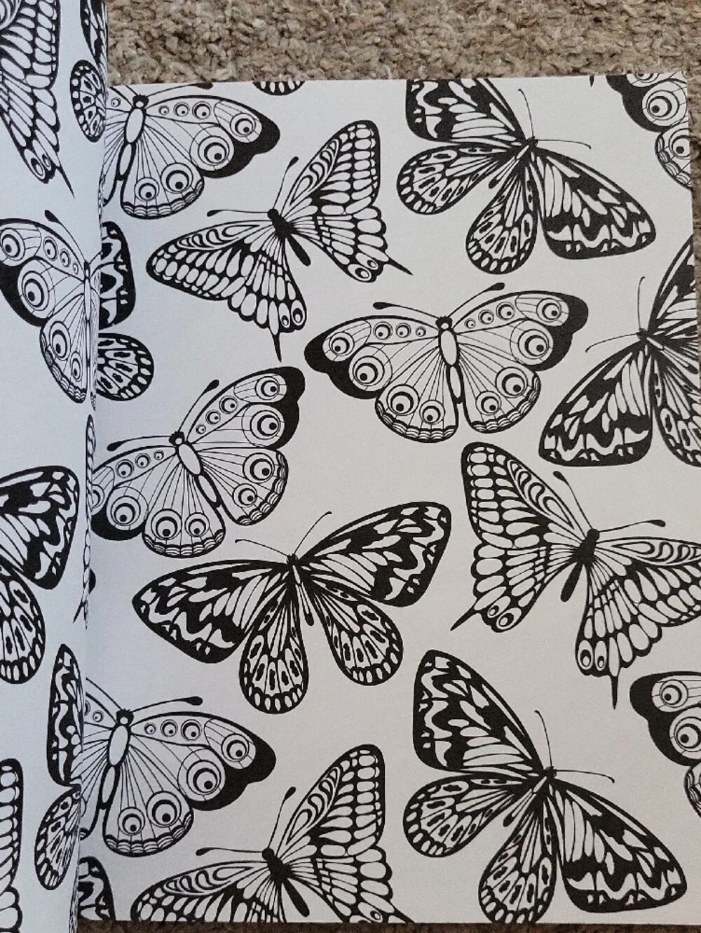 Creative Coloring Book Set